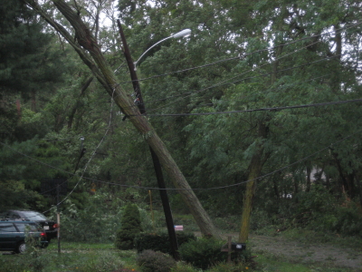 Name:  IMG_2107_6.JPG
Views: 462
Size:  154.9 KB