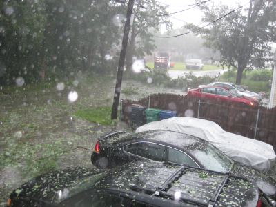 Name:  IMG_2102_2.JPG
Views: 452
Size:  158.8 KB