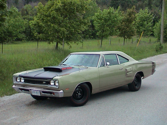 Name:  Coronet bee.jpg
Views: 198
Size:  271.9 KB