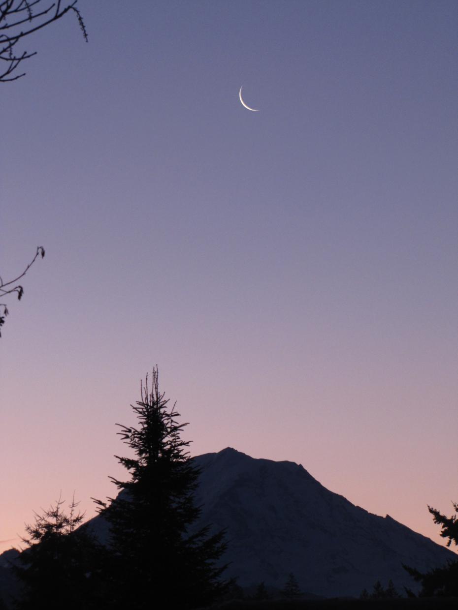 Name:  Ice Storm 2012 007.jpg
Views: 970
Size:  50.1 KB