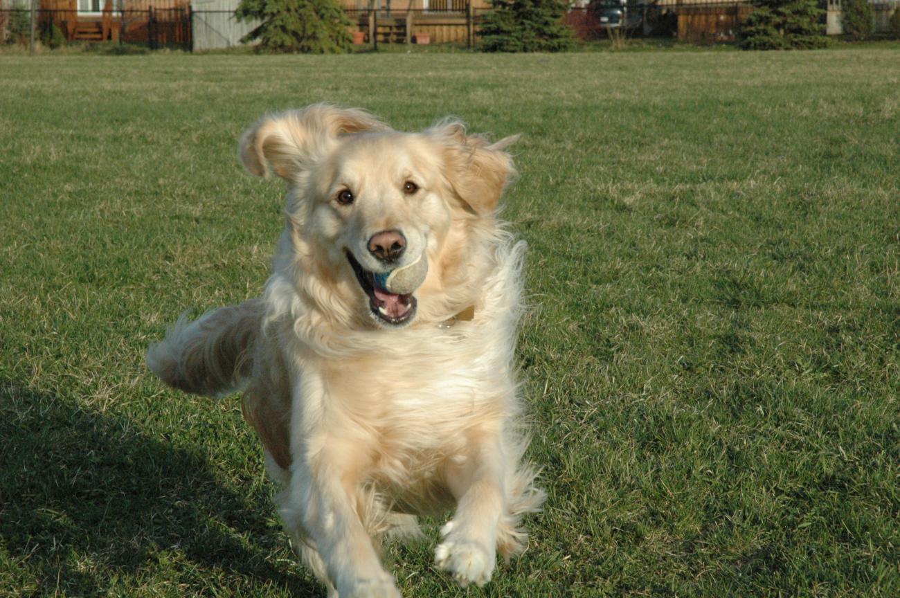 Name:  DSC_0008.jpg
Views: 286
Size:  197.8 KB