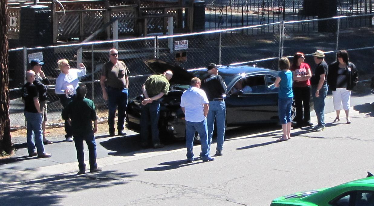 Name:  IMG_5253-crop.jpg
Views: 431
Size:  154.6 KB