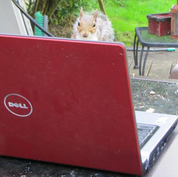 Name:  Molly 02.jpg
Views: 553
Size:  48.1 KB