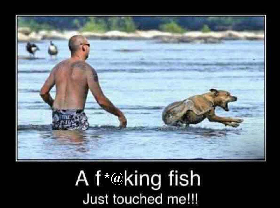 Name:  WTF10.jpg
Views: 664
Size:  96.5 KB