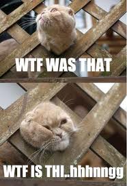 Name:  WTF8.jpg
Views: 448
Size:  10.9 KB