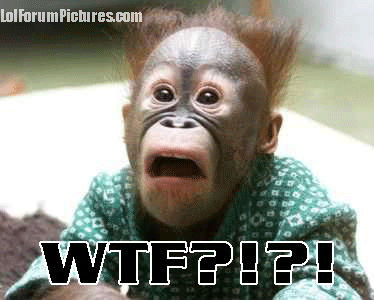 Name:  wtf6.gif
Views: 469
Size:  64.3 KB