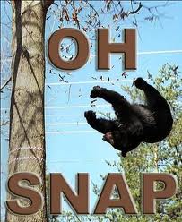 Name:  Snapbear.jpg
Views: 320
Size:  13.9 KB