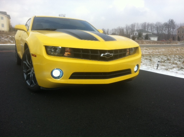 Name:  photo-31.JPG
Views: 1034
Size:  96.3 KB