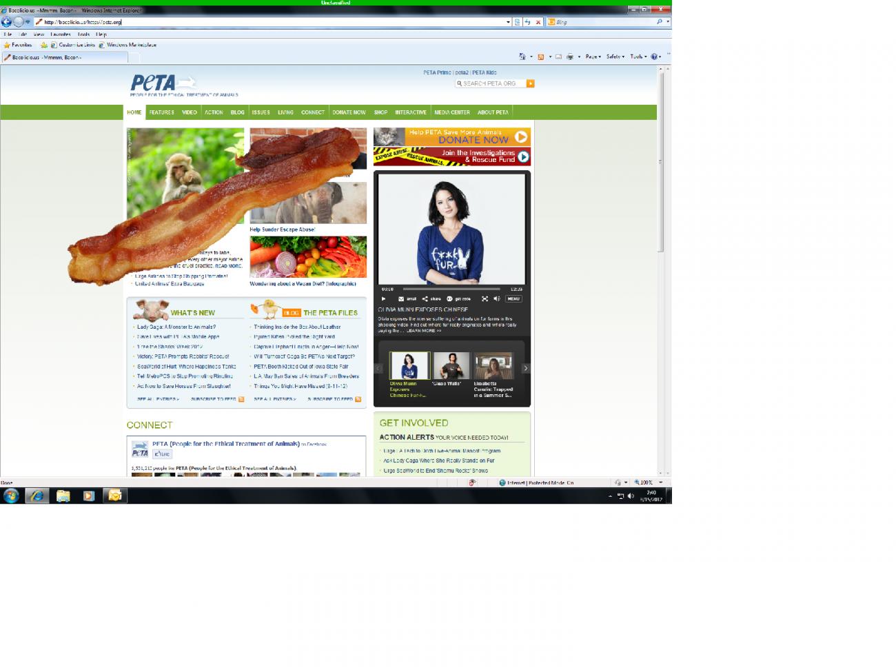 Name:  peta.jpg
Views: 409
Size:  117.1 KB