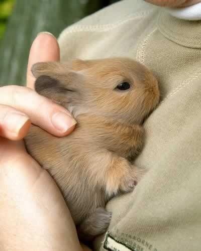 Name:  ImageUploadedByTapatalk1350309808.154092.jpg
Views: 259
Size:  31.9 KB