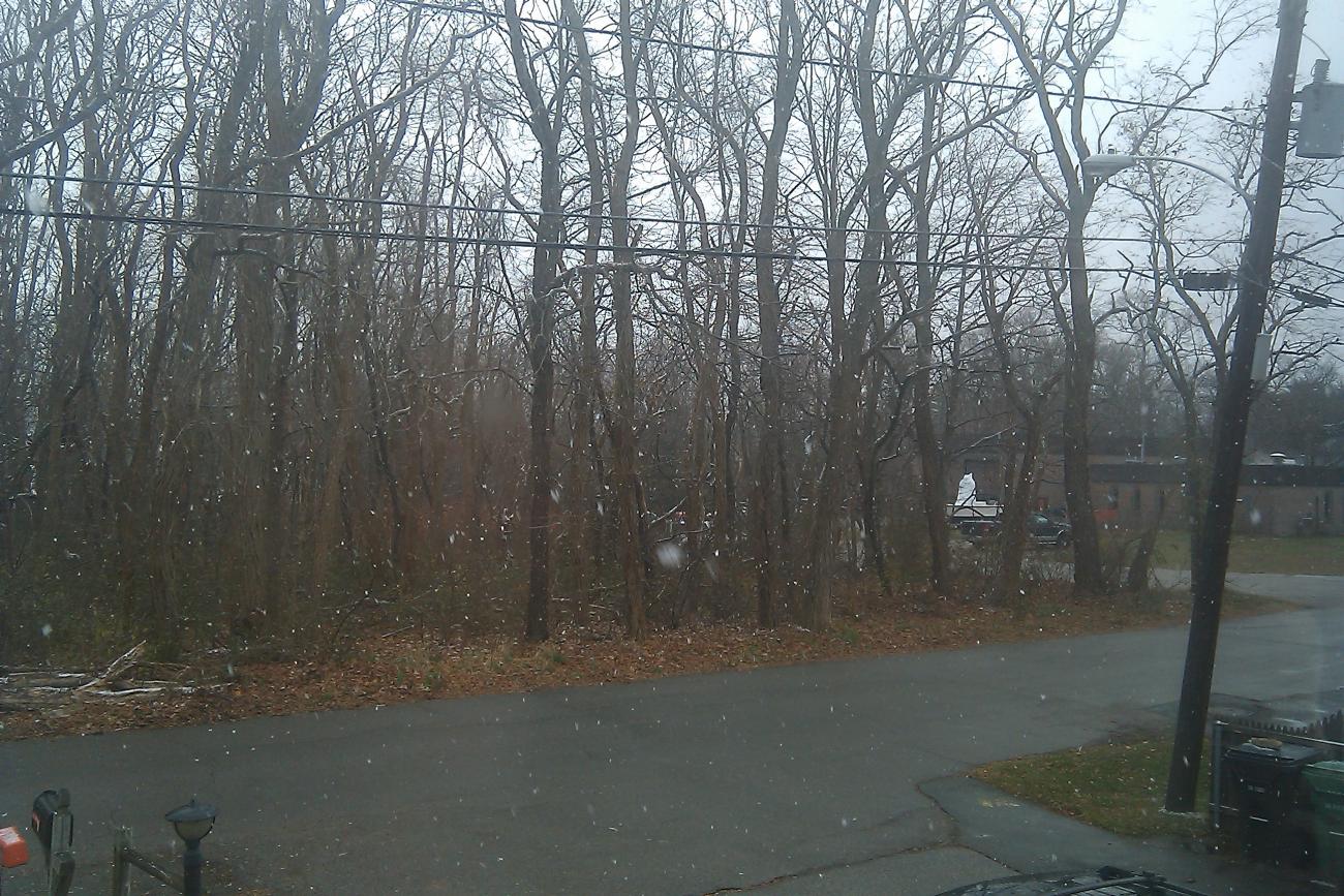 Name:  IMAG0544.jpg
Views: 395
Size:  251.0 KB