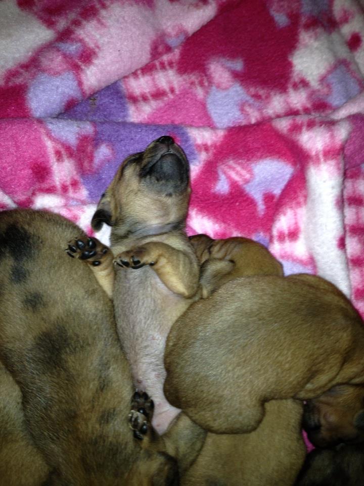 Name:  67752_10200191245091927_67103433_n.jpg
Views: 426
Size:  96.2 KB