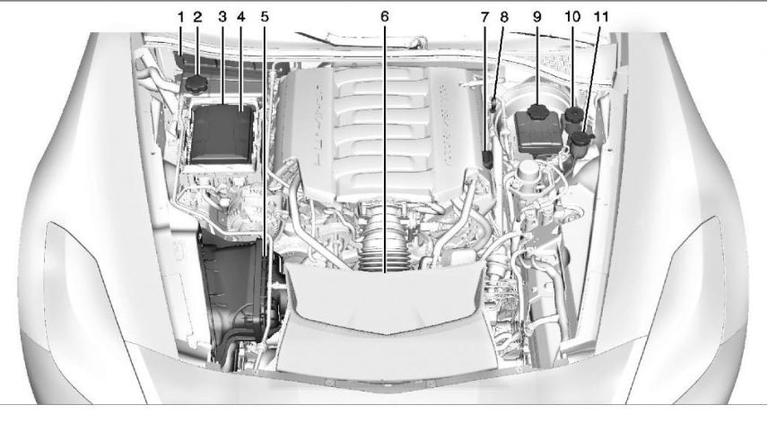 Name:  Vette2.JPG
Views: 663
Size:  66.8 KB
