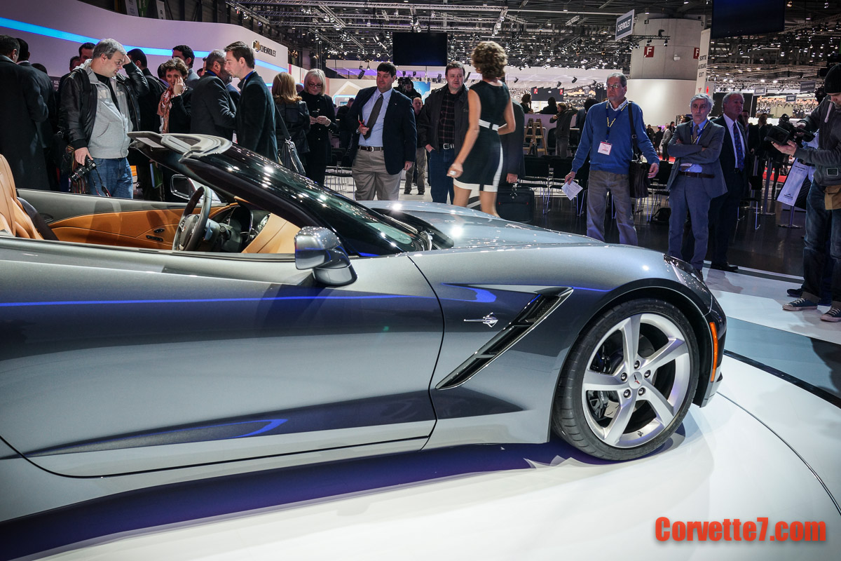 Name:  DSC00971.jpg
Views: 7011
Size:  321.2 KB