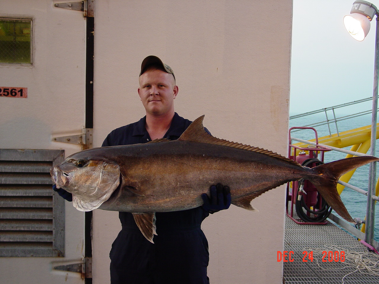 Name:  fish2.jpg
Views: 791
Size:  321.2 KB