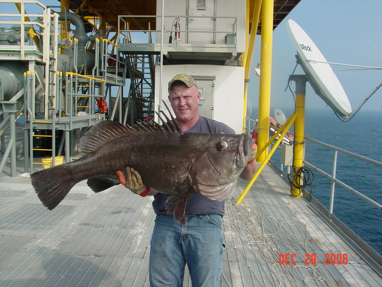 Name:  fish 1.jpg
Views: 769
Size:  320.6 KB