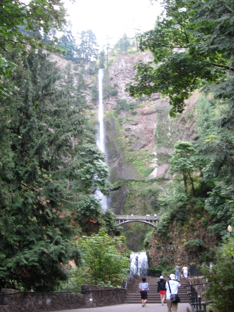 Name:  Columbia Gorge 09 086.jpg
Views: 130
Size:  252.7 KB