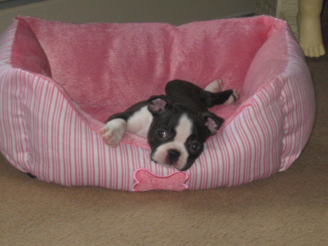 Name:  IMG_1447.jpg
Views: 341
Size:  103.4 KB