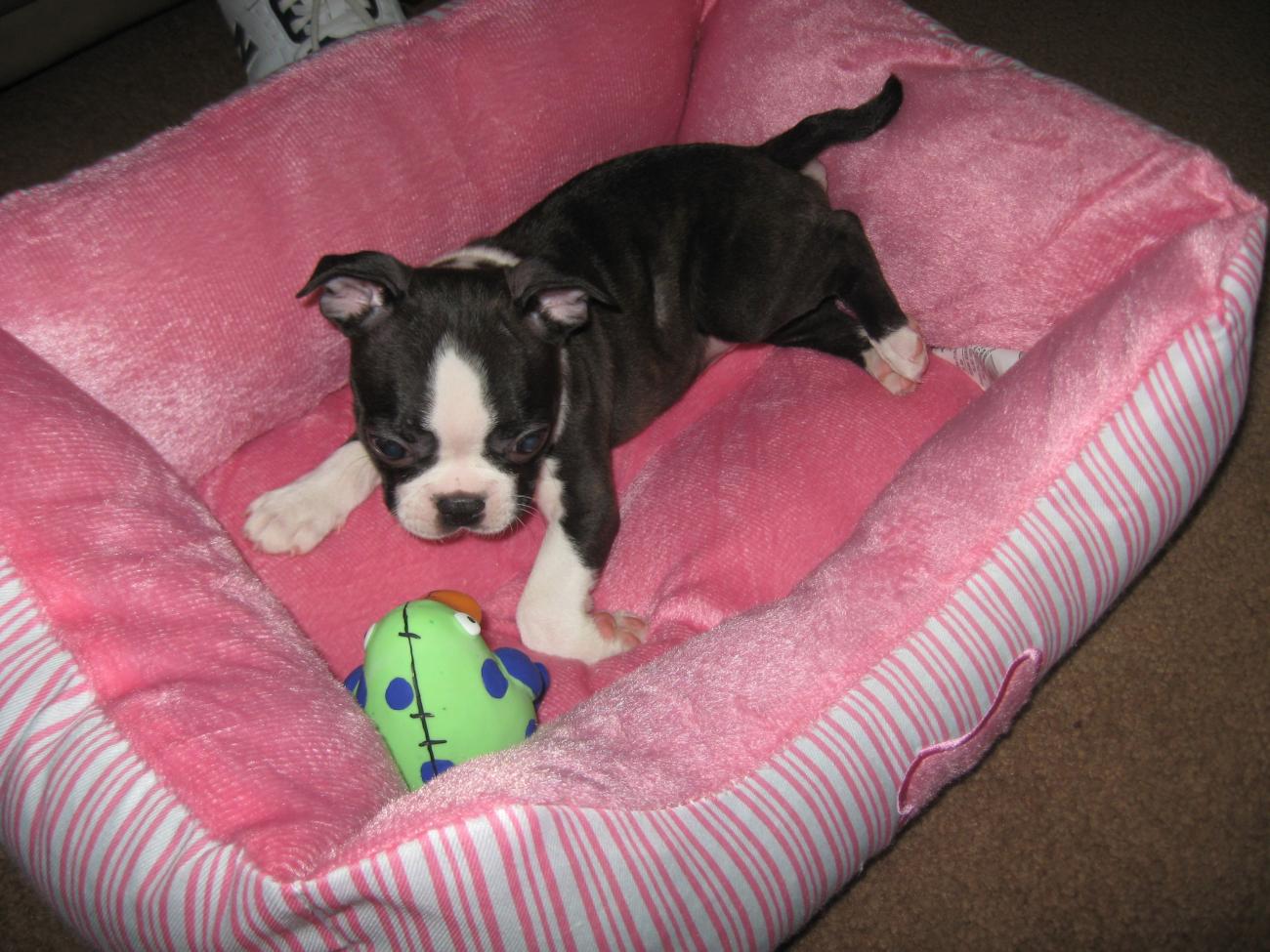 Name:  IMG_1436 (2).jpg
Views: 352
Size:  167.4 KB