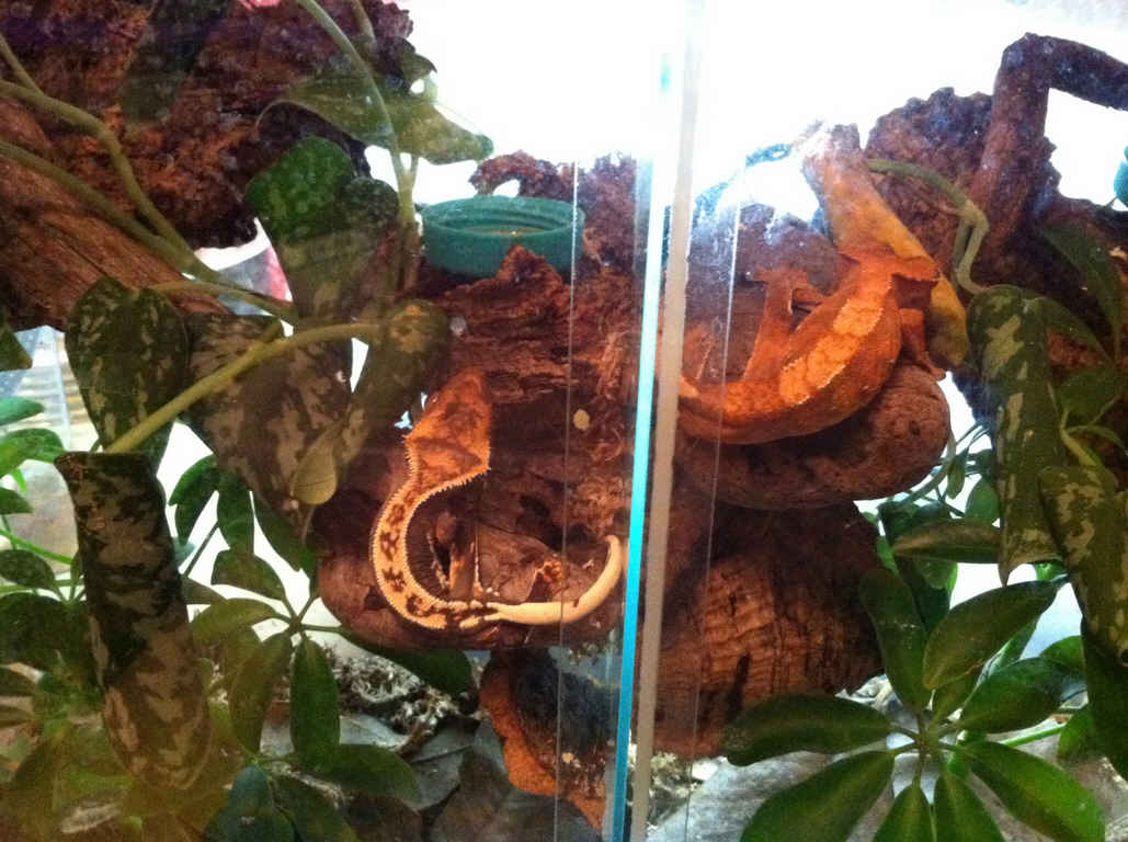 Name:  img1.jpg
Views: 301
Size:  84.9 KB