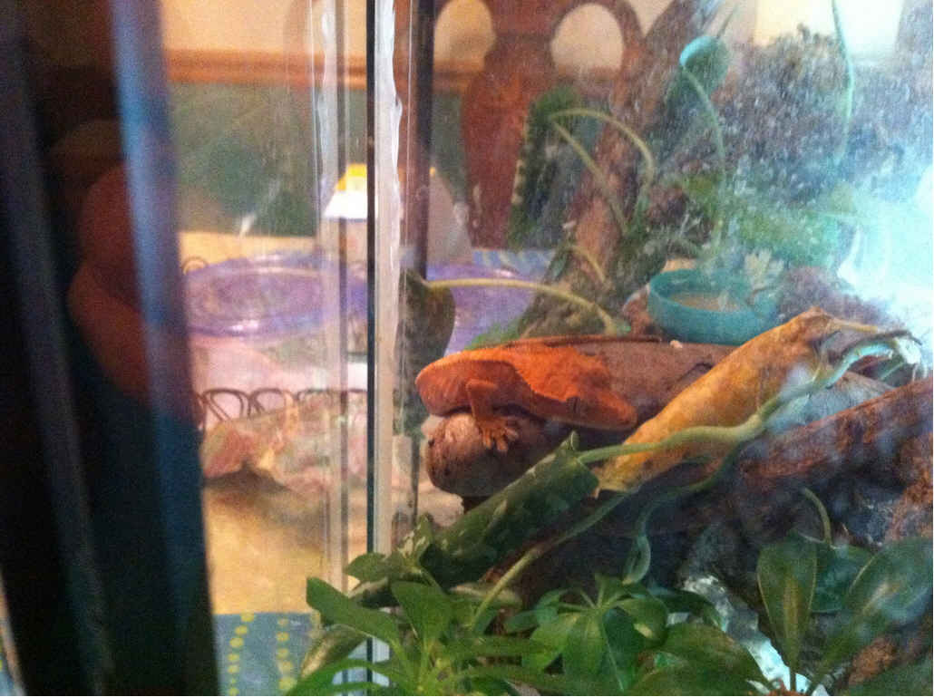 Name:  img2.jpg
Views: 304
Size:  74.1 KB