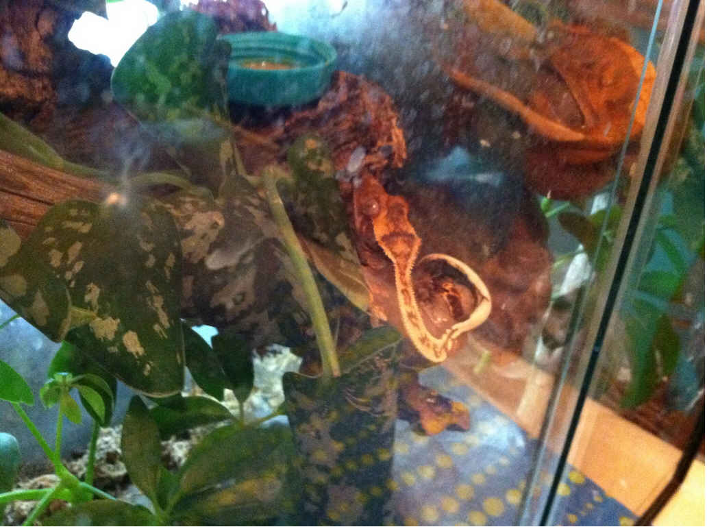 Name:  img3.jpg
Views: 276
Size:  78.1 KB