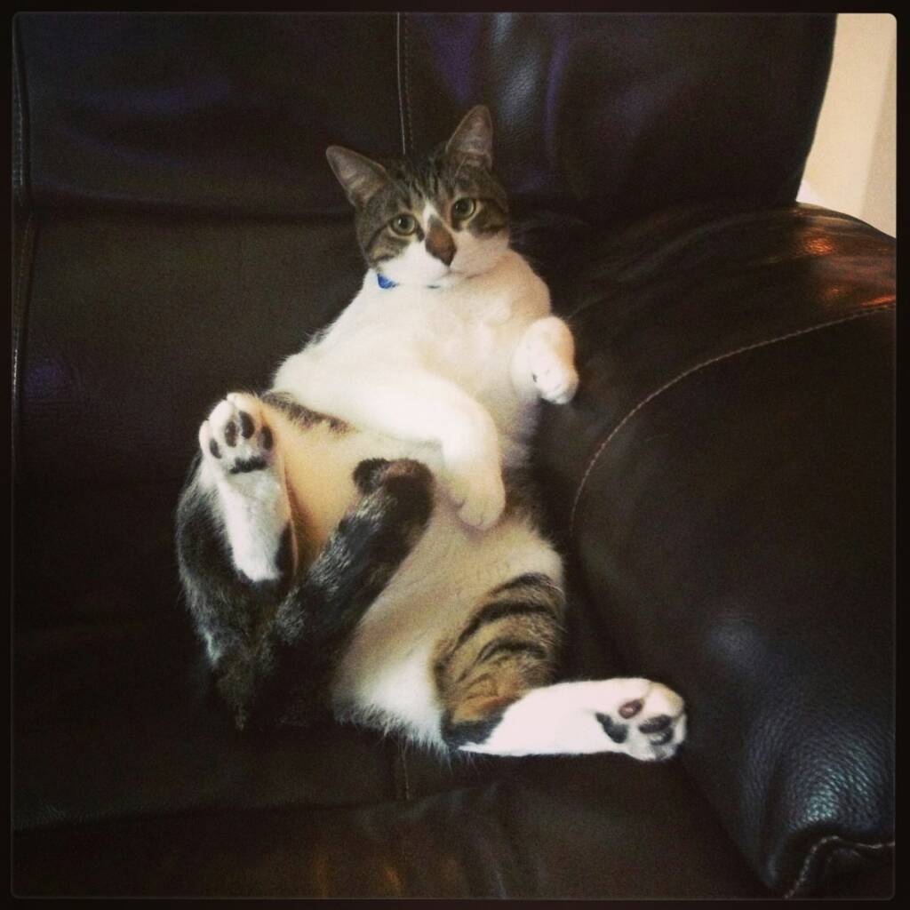 Name:  uploadfromtaptalk1378667947957.jpg
Views: 675
Size:  80.3 KB