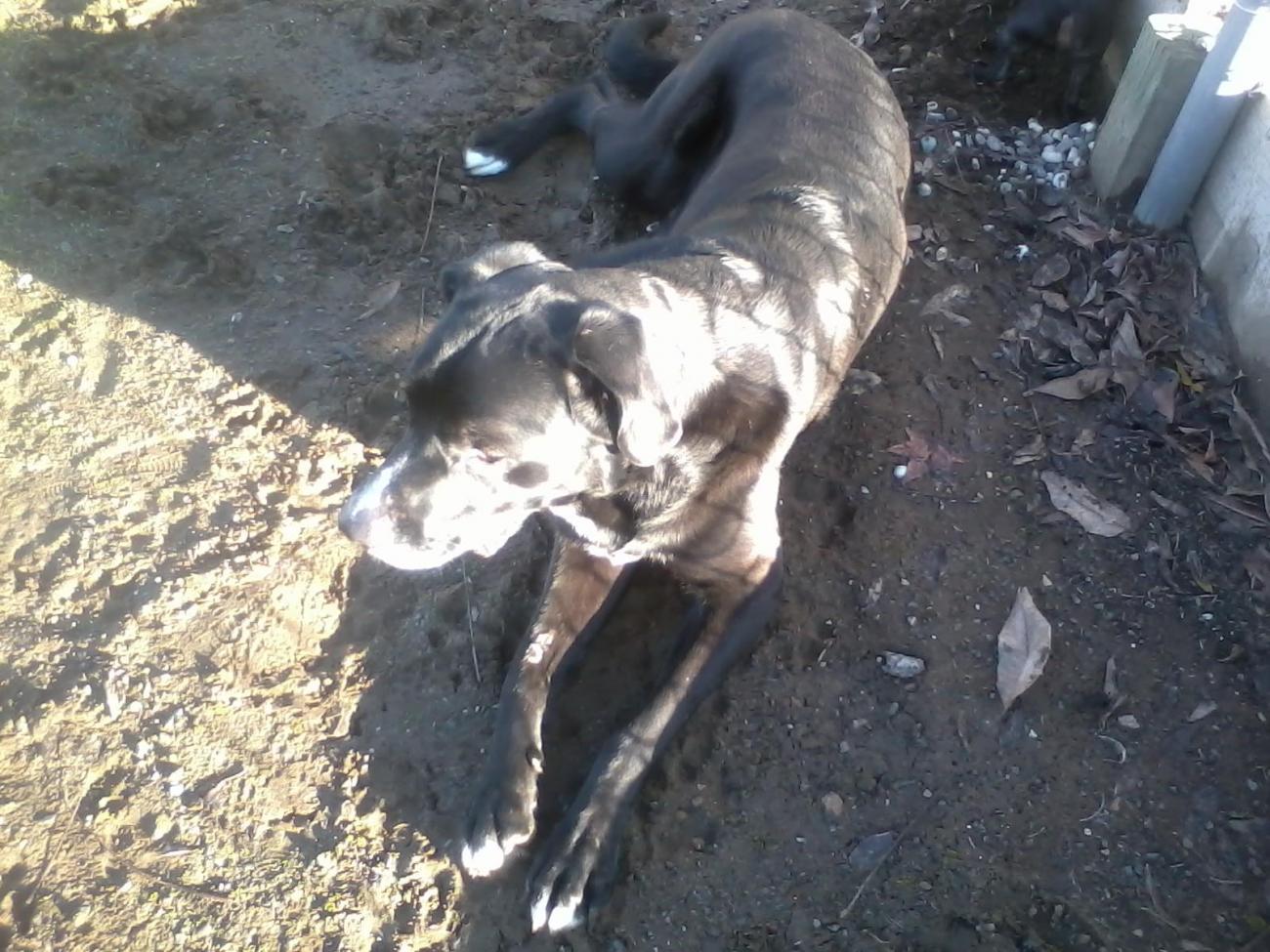 Name:  oscar.jpg
Views: 286
Size:  181.8 KB