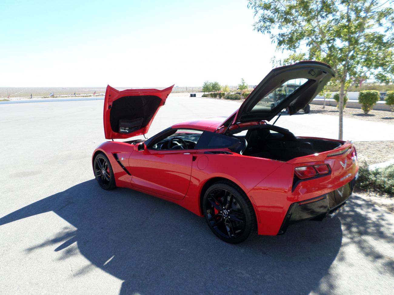 Name:  Las Vegas Corvette 008.jpg
Views: 7310
Size:  156.8 KB