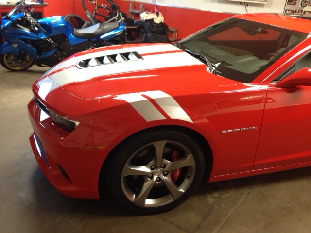 Name:  ZX14R.JPG
Views: 517
Size:  134.7 KB