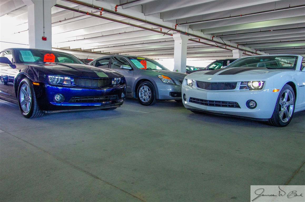 Name:  IMGP7152 (Medium).jpg
Views: 635
Size:  145.5 KB