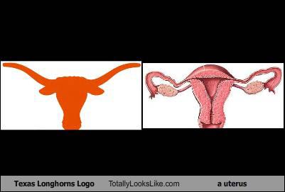 Name:  texas-longhorn-tll-uterus1.jpg
Views: 3831
Size:  11.1 KB