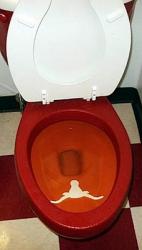 Name:  Texas_Sucks_____.jpg
Views: 1436
Size:  6.0 KB