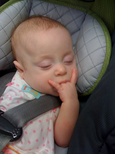 Name:  3574758360_98ab5c6e45.jpg
Views: 1431
Size:  99.4 KB