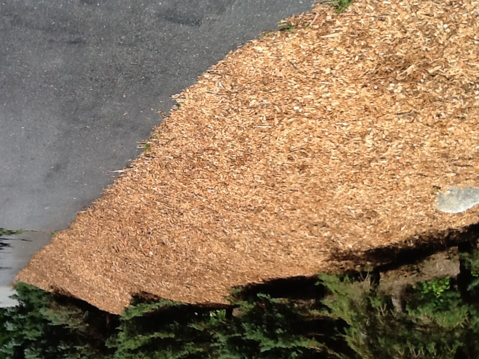 Name:  ImageUploadedByTapatalk1408655158.109401.jpg
Views: 674
Size:  394.5 KB