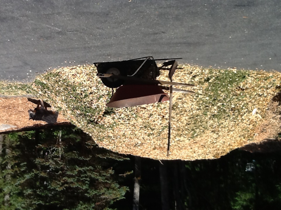 Name:  ImageUploadedByTapatalk1408655181.876893.jpg
Views: 753
Size:  323.4 KB