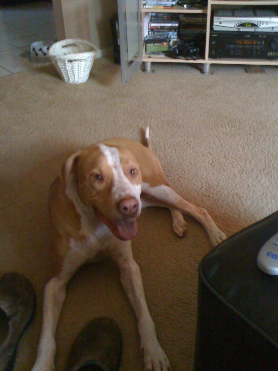 Name:  IMG_0004.jpg
Views: 648
Size:  110.9 KB