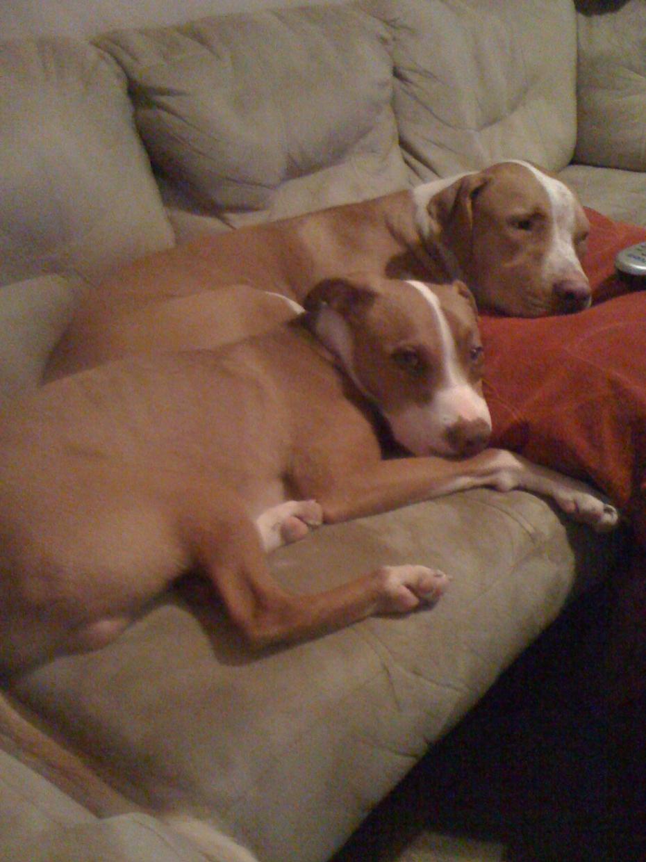 Name:  IMG_0032.jpg
Views: 664
Size:  114.7 KB