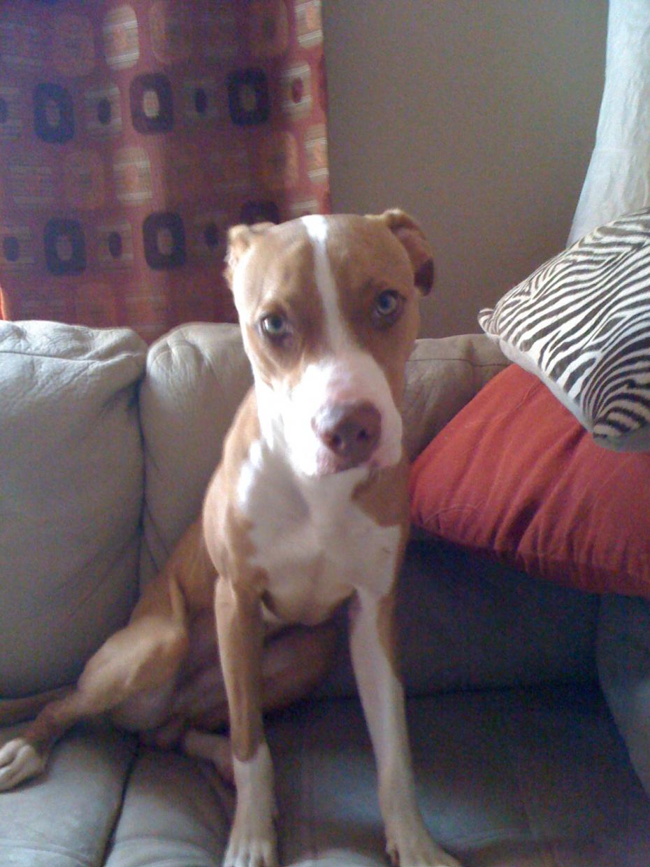 Name:  IMG_0002.jpg
Views: 666
Size:  121.2 KB