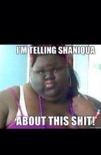 Name:  shaniquia.jpg
Views: 441
Size:  6.0 KB