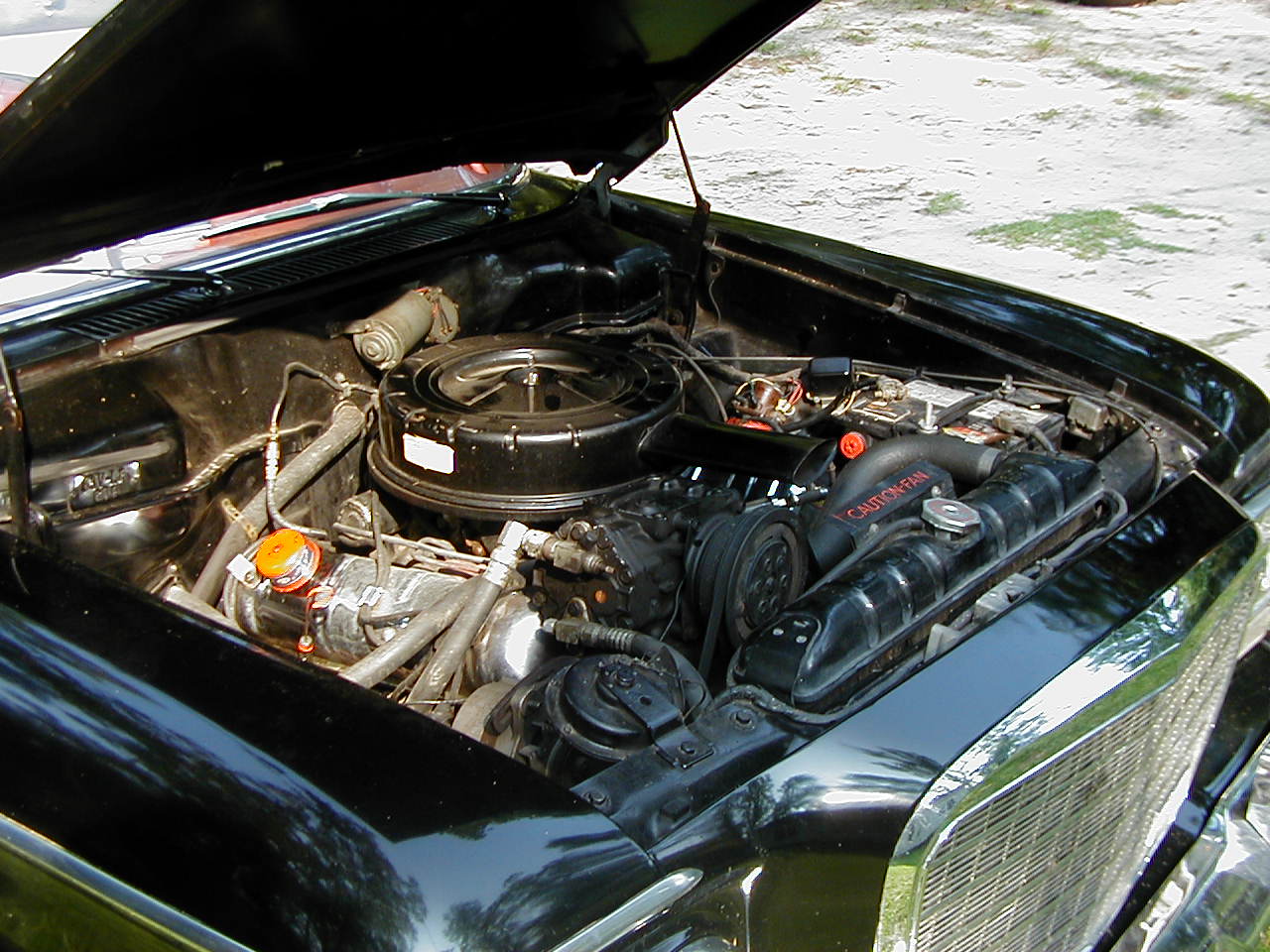 Name:  63Stude-4.JPG
Views: 390
Size:  198.3 KB