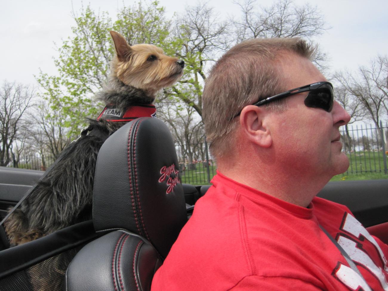 Name:  Cruising.jpg
Views: 896
Size:  160.0 KB