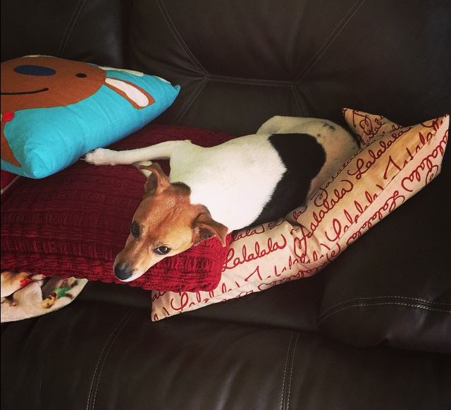 Name:  Capture.JPG
Views: 542
Size:  57.0 KB