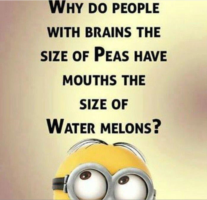 Name:  PEA BRAINS.jpg
Views: 2050
Size:  67.7 KB