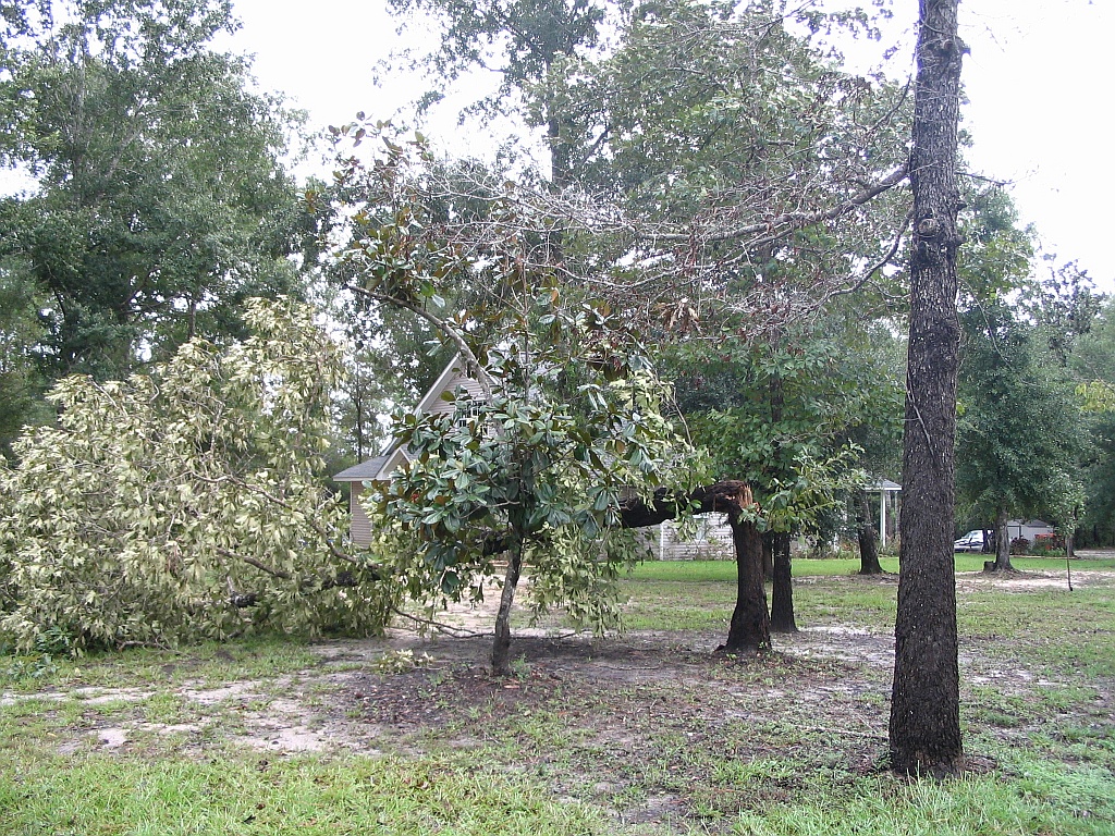 Name:  IMG_0017.jpg
Views: 105
Size:  581.2 KB