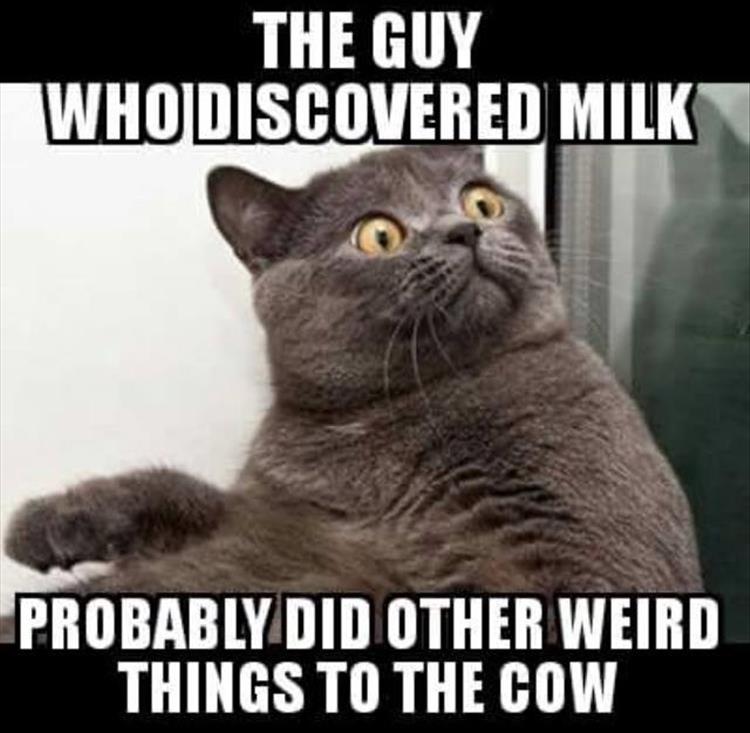 Name:  COW FUNNY.jpg
Views: 2329
Size:  63.0 KB