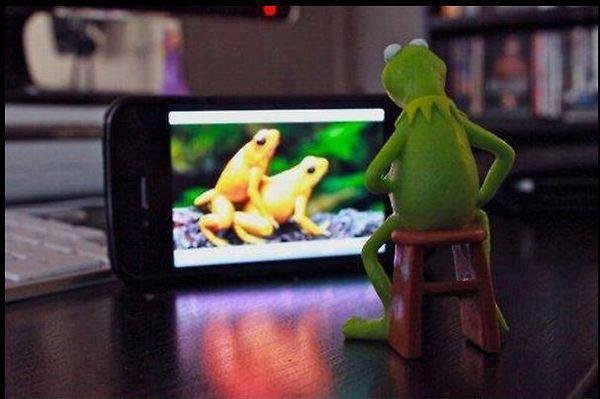 Name:  Kermit+you+dirty+frog_264ed8_4072057.jpg
Views: 1020
Size:  36.9 KB