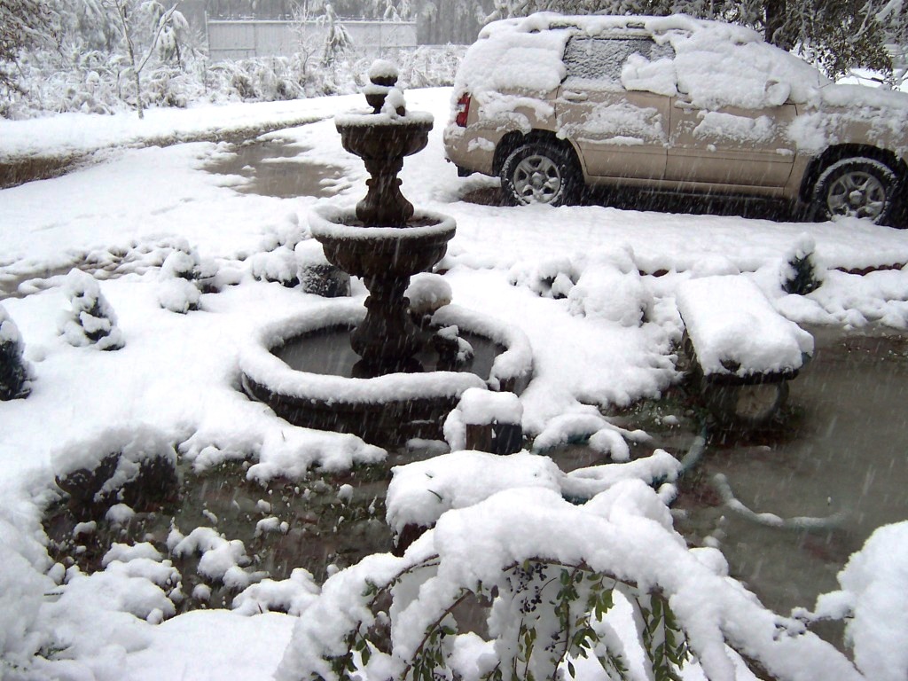 Name:  Walker Snow 12-11-08 011.JPG
Views: 393
Size:  243.6 KB