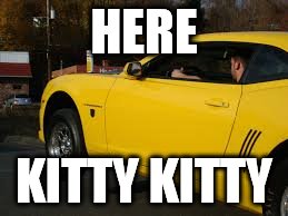 Name:  ztp0a.jpg
Views: 338
Size:  12.6 KB