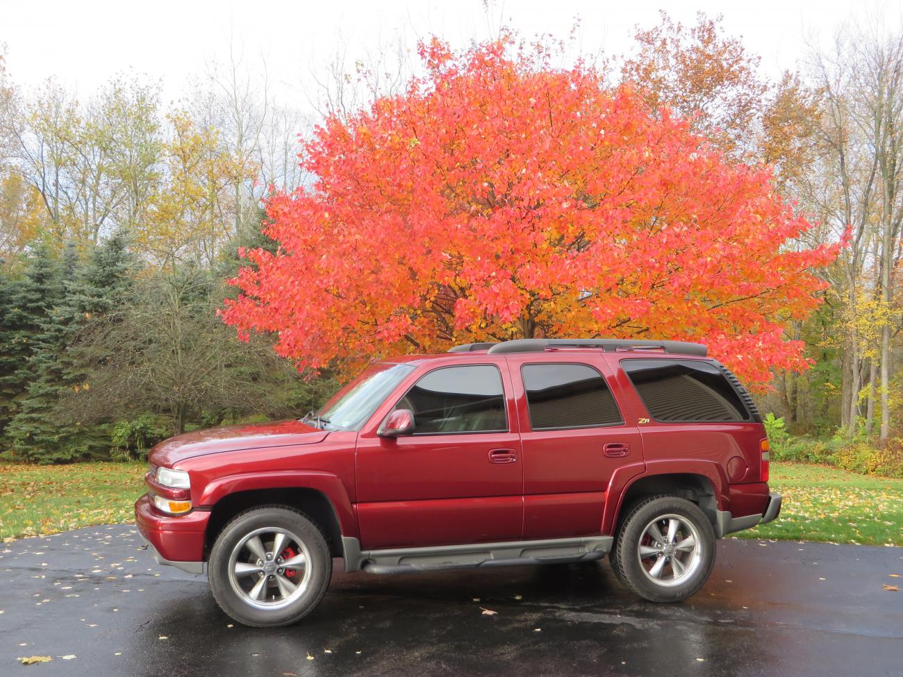 Name:  IMG_0670.jpg
Views: 1040
Size:  248.1 KB